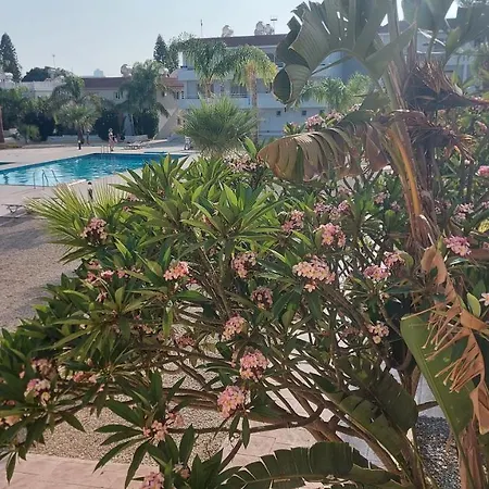Nissi 3 Pool View 公寓 圣纳帕