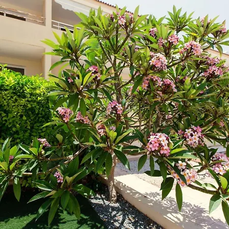 Apartmán Nissi 3 Pool View Ayia Napa