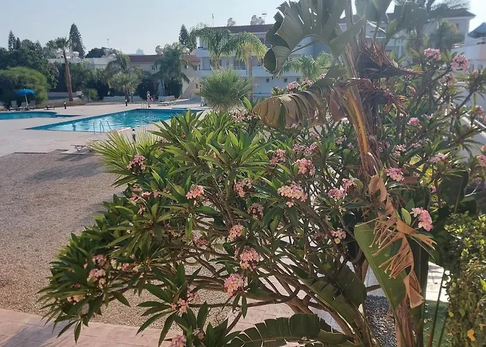 Nissi 3 Pool View Lejlighed Ayia Napa