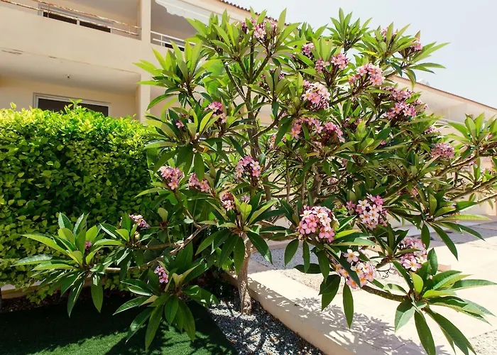 Lejlighed Nissi 3 Pool View Ayia Napa